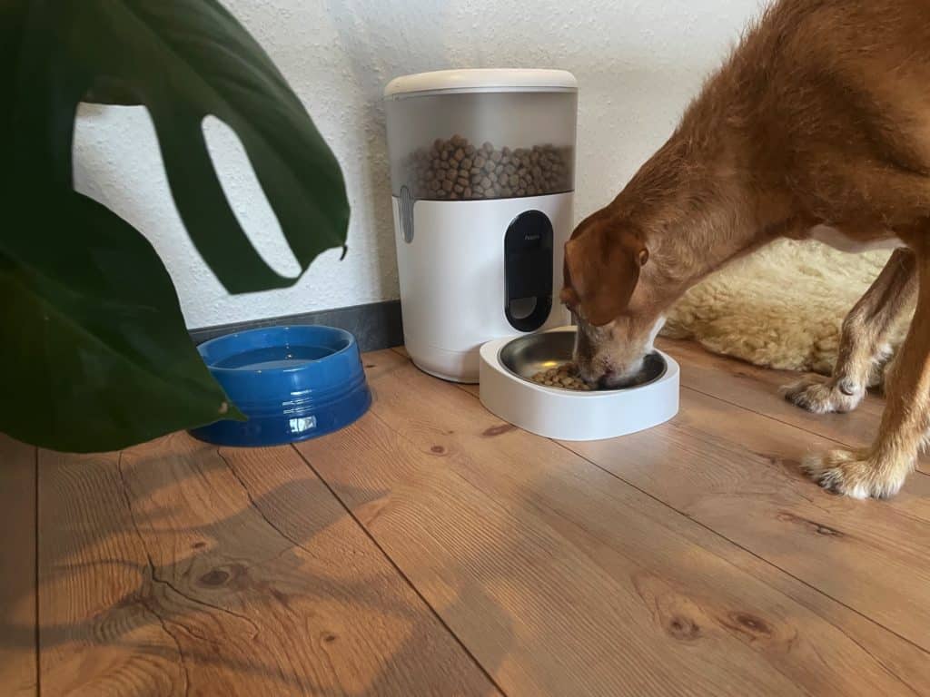 Aqara Futterautomat C1: Katzen und kleine Hunde intelligent füttern